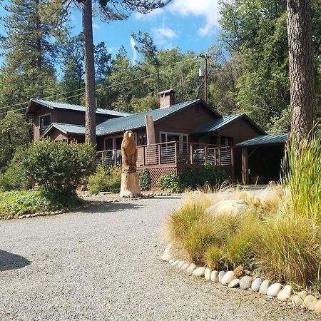 Uncle Grizz'S Cabin...Get Intouch With Nature Bass Lake Annex Extérieur photo