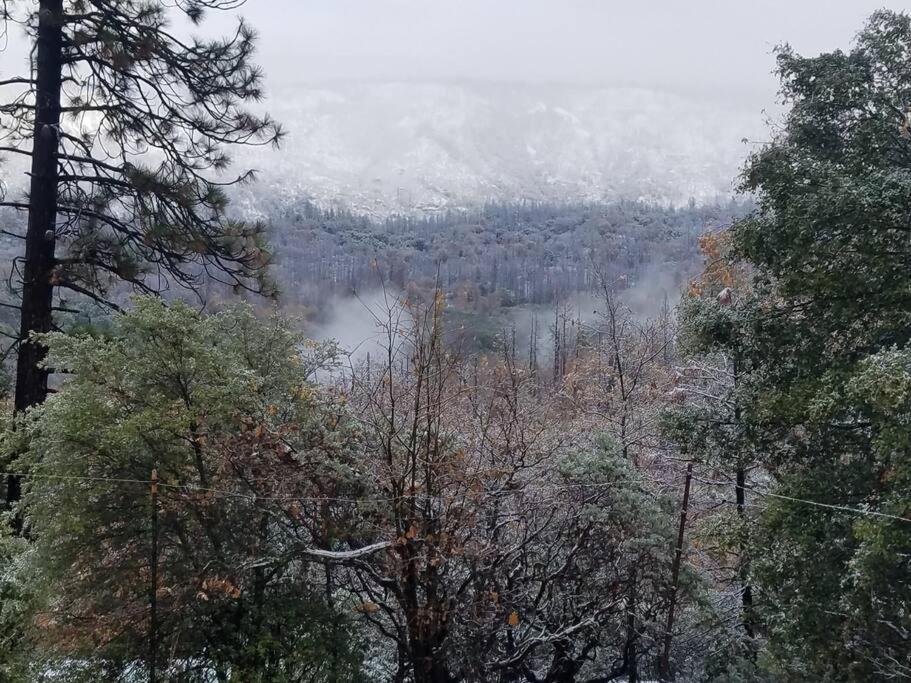 Uncle Grizz'S Cabin...Get Intouch With Nature Bass Lake Annex Extérieur photo