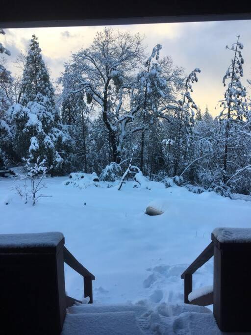 Uncle Grizz'S Cabin...Get Intouch With Nature Bass Lake Annex Extérieur photo